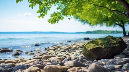 beach and rocks