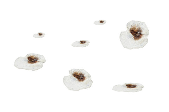 Bird droppings - on isolated transparent background.
