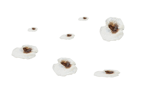 Bird droppings - on isolated transparent background.