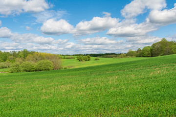 Green hilly field with trees and bushes partially illuminated by sunlight, forest on the horizon, blue sky with white clouds. Spring landscape on a sunny spring day