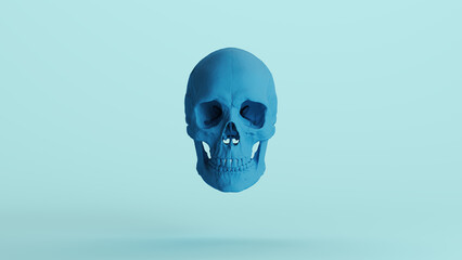 Blue human skull soft tones anatomical cranium Halloween horror background front view 3d illustration render digital rendering	