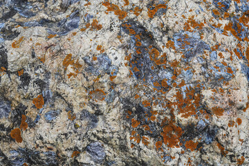 Close-up of black and white natural stone surface covered with orange lichen as a background
