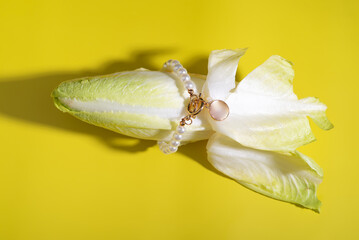 Macro photography of cabbage petal and gold bracelet on yellow background