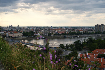 Fototapeta premium Serbia - Beautiful Panoramic view of Novi Sad and Danube River. A bridge across the river for cars and pedestrians. View from Petrovaradin fortress. Spring wildflowers in the foreground.