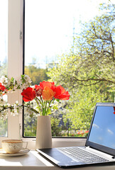 A cup of tea, a computer, tulip flowers in a vase on a sunny window. The concept of home coziness, comfort and home office. Computer mobility and healthy lifestyle, selective focus..