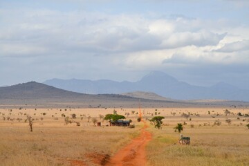 Pictures from Kenya