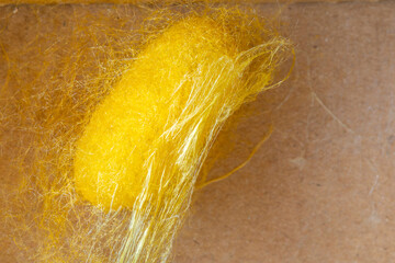 detail of a natural yellow silkworm cocoon