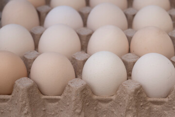 Organic village chicken eggs at the market 