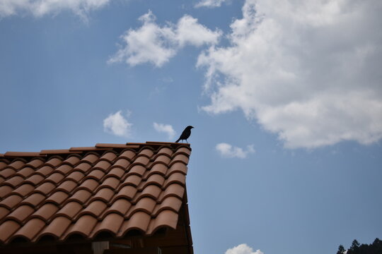 libera todo