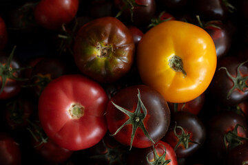 Tasty and fresh red tomatoes