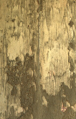 old texture