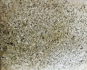 stone wall texture