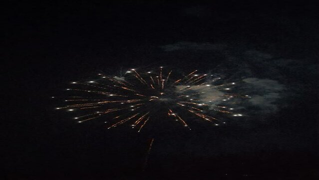 Vibrant Fireworks Extravaganza