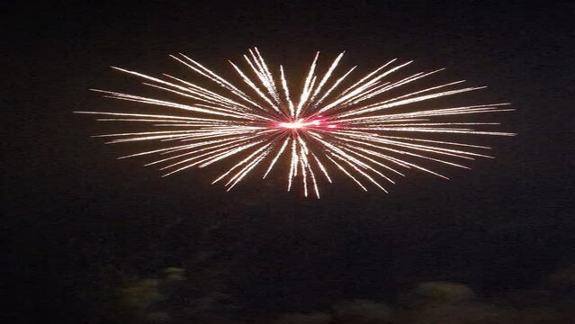 Fireworks Spectacle Lighting Up the Night Sky
