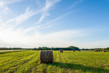 Beautiful landscape with a mown field on a summer day in Latvia.