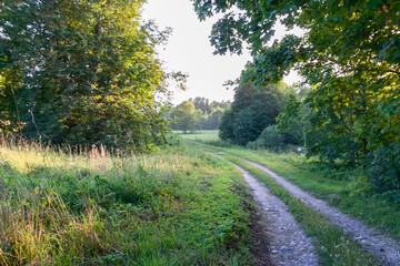 Beautiful landscape on a summer day in Latvia. Nature in the countryside.