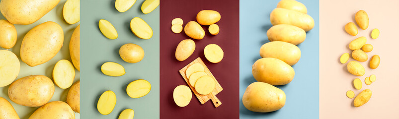 Collage of raw potato on color background