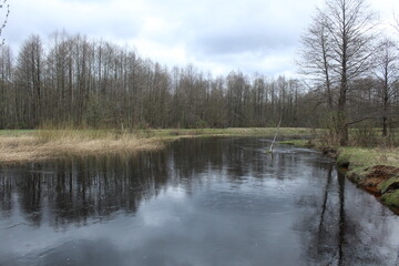 Autumn landscape, river, forest, gray sky on the bank of the river. Gloomy gray autumn landscape