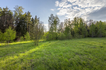 Spring evening landscape, Peace of nature, calm soft sunlight on young green grass