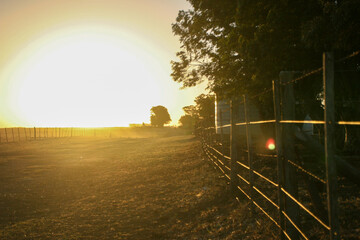 Atardecer en el campo