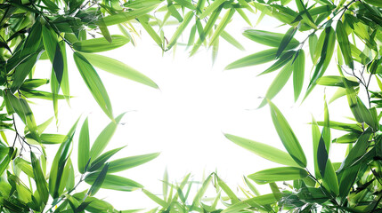 Closeup of a green plant with square framed leaves, perfect for nature backgrounds, ecofriendly designs, and botanical concepts.