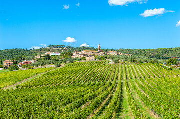 Vigneti nel Chianti, Toscana, Italia