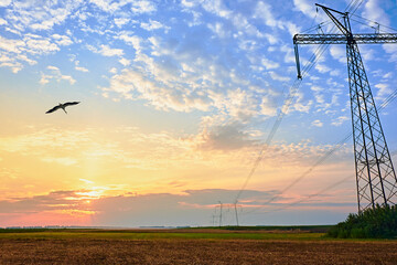 High voltage electric pole and transmission lines. Electricity pylons at sunset and clouds. Bird...