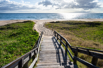 Wooden stairs leading down to a golden sand beach and the Pacific Ocean, green foliage of native...