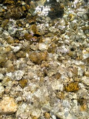 Croatia, Dalmatia. Close-up view of the sea surface.