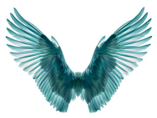 angel wings on transparent background 