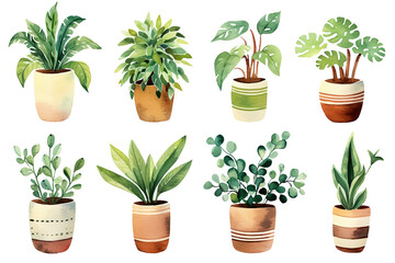 rubber plant , snake plant , monstera, eucalyptus,  cute greenery foliage houseplant pots collection set isolated PNG transparent background 