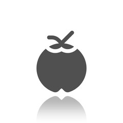 Coconut Icon
