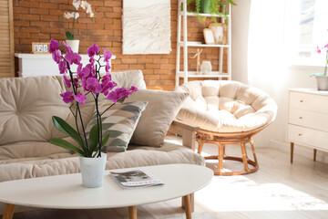 Orchid flower with magazine on table in cozy living room