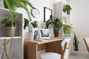 Interior of light office with workplace, shelf units and houseplants