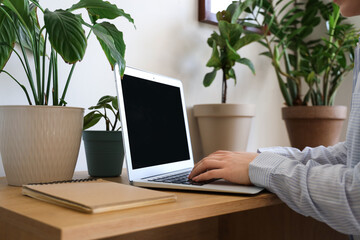 Young woman working with laptop at table in office, closeup