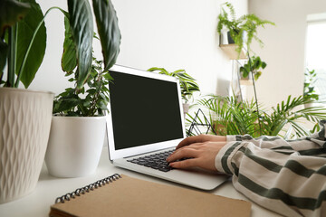 Young woman working with laptop and plants at table in office, closeup