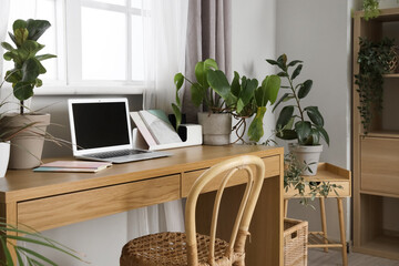 Workplace with laptop and green plants near window in office