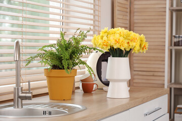 Vase with beautiful narcissus flowers on kitchen counter