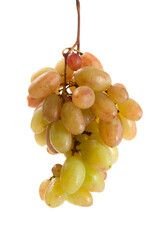 Bunch of organic pink grapes isolated on white background.