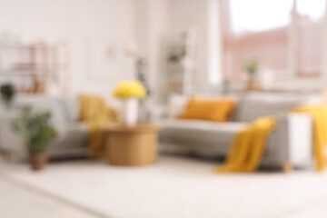 Blurred view of living room with grey sofas and yellow narcissus flowers on wooden coffee table