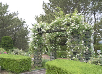 横浜市金沢区にある、シーパラダイスでおなじみの人工島・八景島