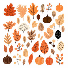 autumn leaves on white background  