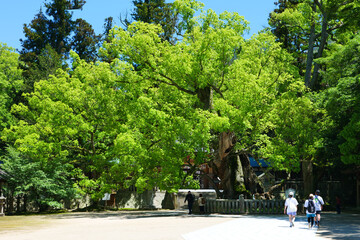 大山祇神社 愛媛県観光
