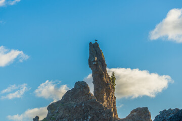 Piha Beach, A striking coastal rock formation bathed in sunlight on a clear day, with the sea and sandy beach in the foreground