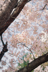 여름이 다가온다