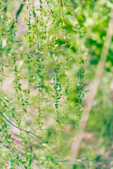 여름이 다가온다