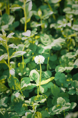 여름이 다가온다