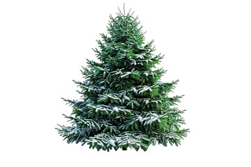 Fototapeta premium Green Christmas tree isolated on white background