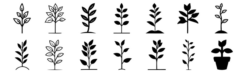 Plant silhouettes set, pack of vector silhouette design, isolated background