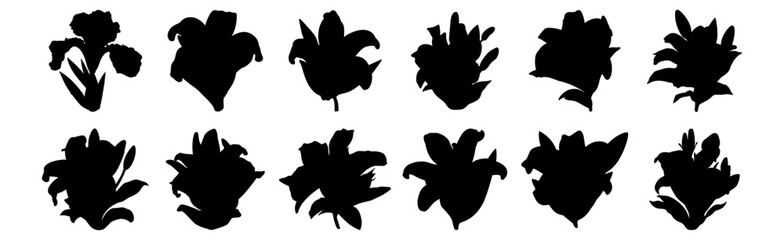 Flower silhouettes set, pack of vector silhouette design, isolated background